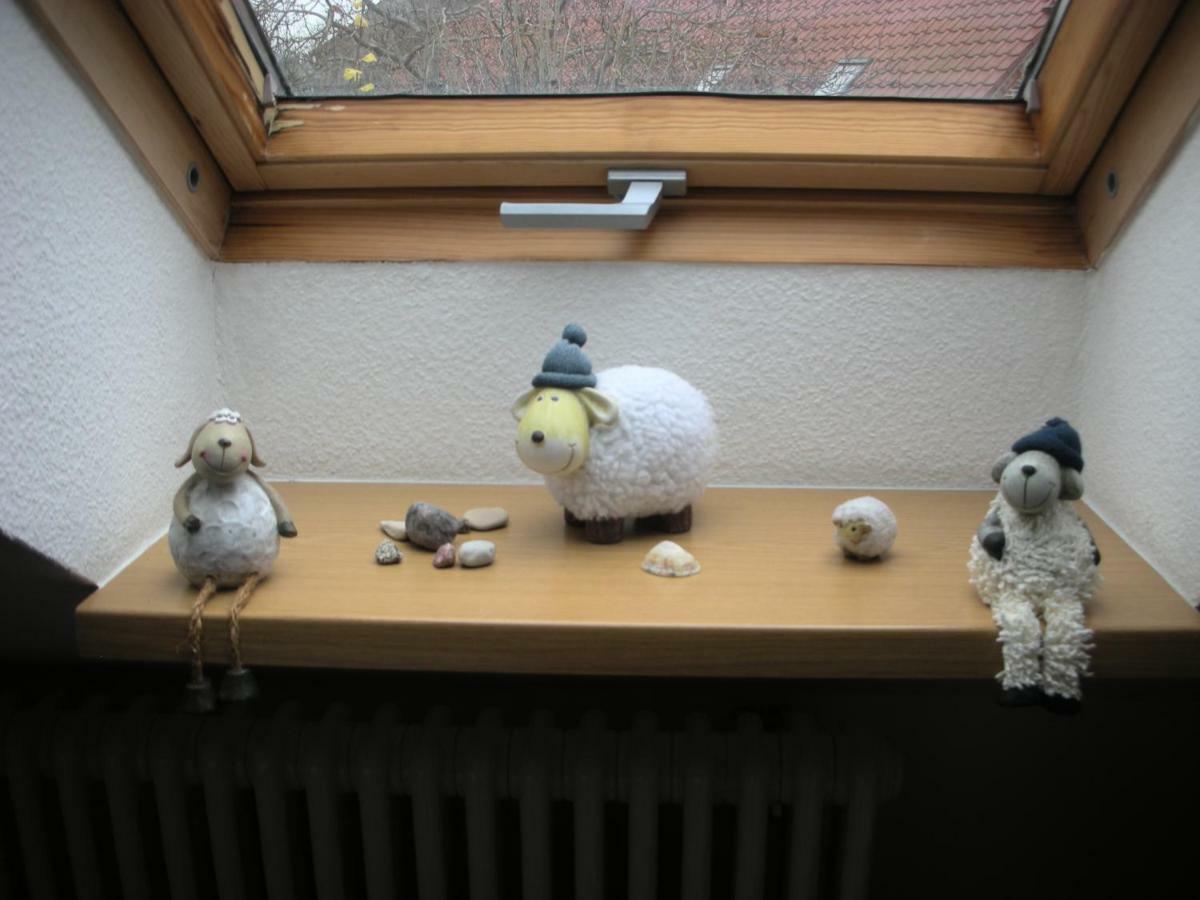 Apartment Seeadler Mit Balkon Dewichow 外观 照片